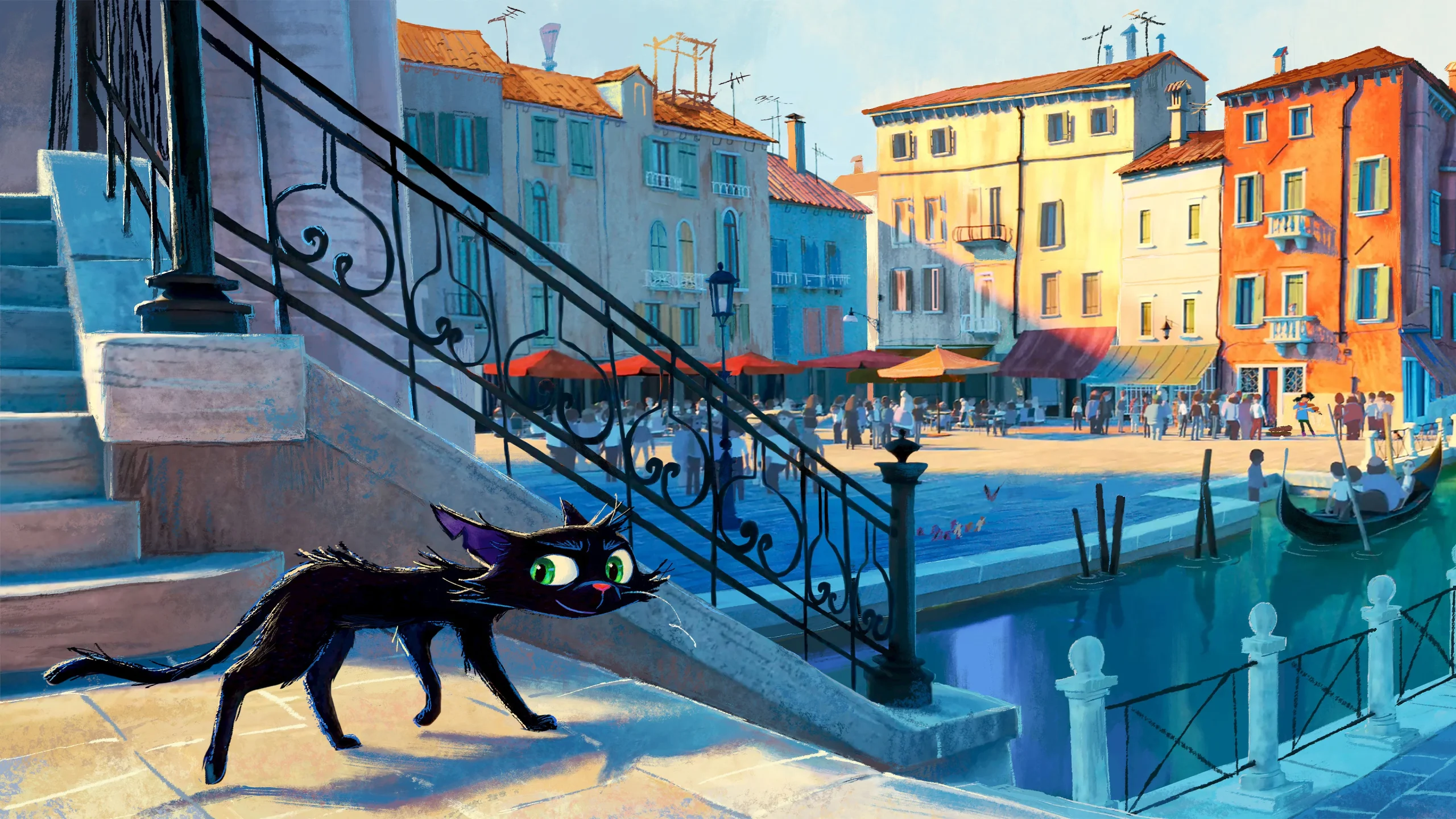 gatto